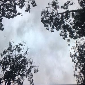 Meet your Posher, Kale